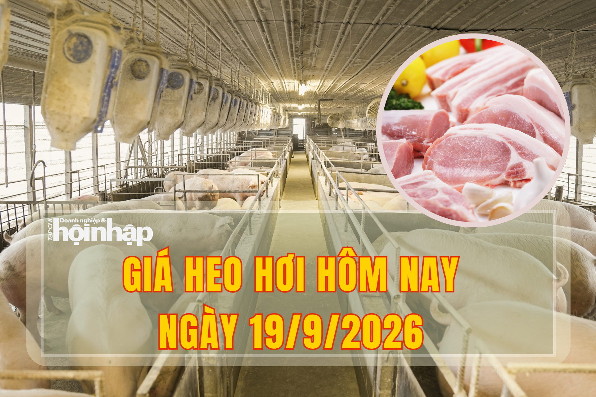 Giá heo hơi hôm nay 19/9/2026: Thái Nguyên, Hà Nội và Hưng Yên giữ đỉnh 60.000 đồng/kg Giá heo hơi hôm nay 19/9/2026: Thái Nguyên, Hà Nội và Hưng Yên giữ đỉnh 60.000 đồng/kg